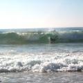 Bodyboard in Portugal